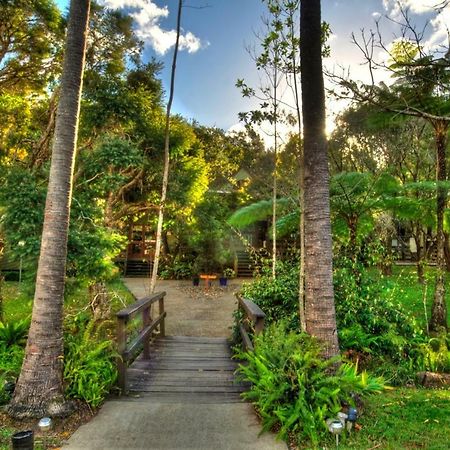 Broken River Mountain Resort Eungella Exteriör bild