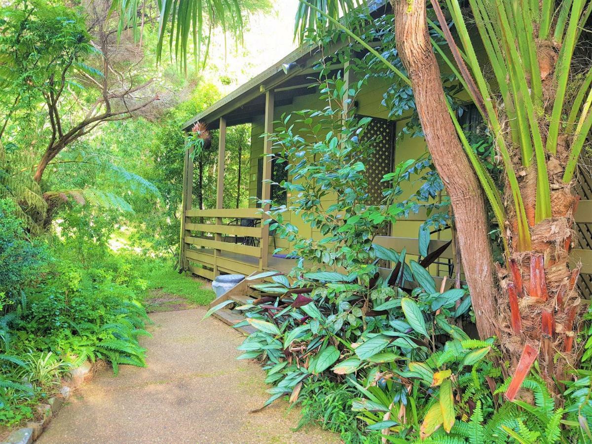 Broken River Mountain Resort Eungella Exteriör bild